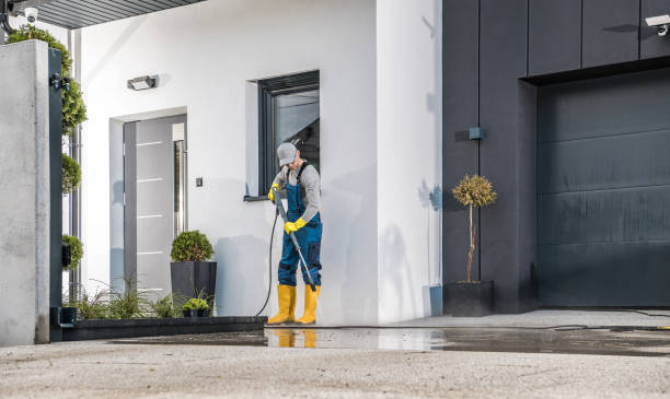 Best Soft Washing  in Union City, MI
